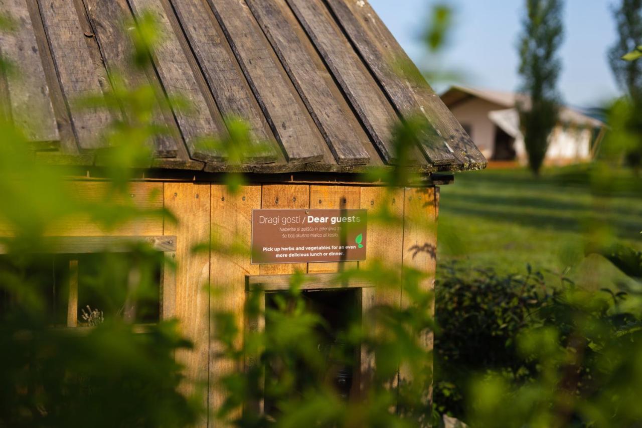 Glamping Kolpa Resort Gradac Екстер'єр фото
